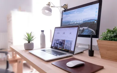 SEO optimize your content