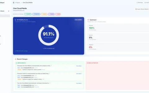 AI Visibility Report Dashboard